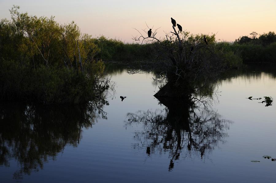Everglades National Park at Sunrise