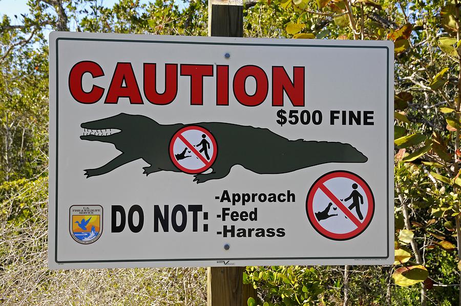 Sanibel Island - Alligator Warning Sign