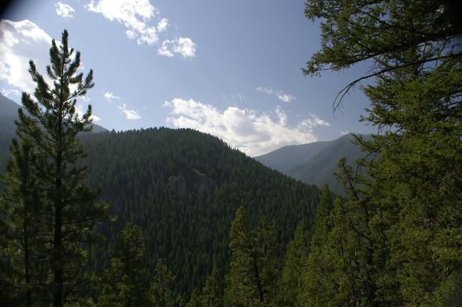 Gallatin National Forest