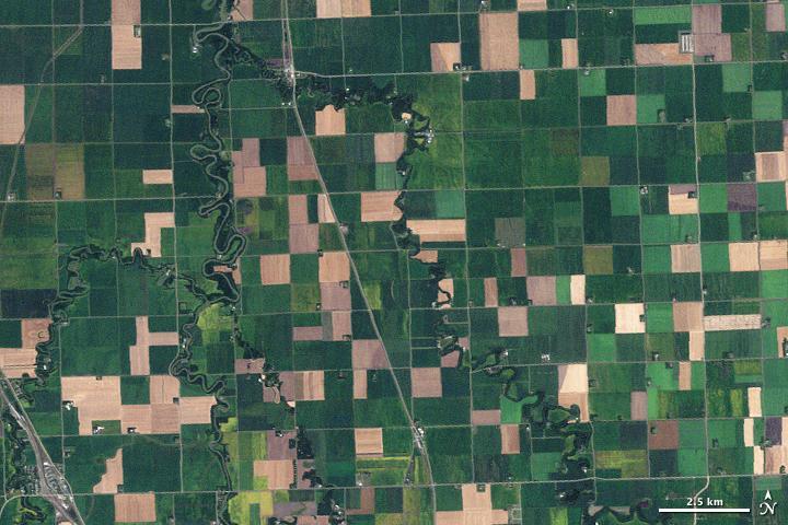 Farms in northwest Minnesota