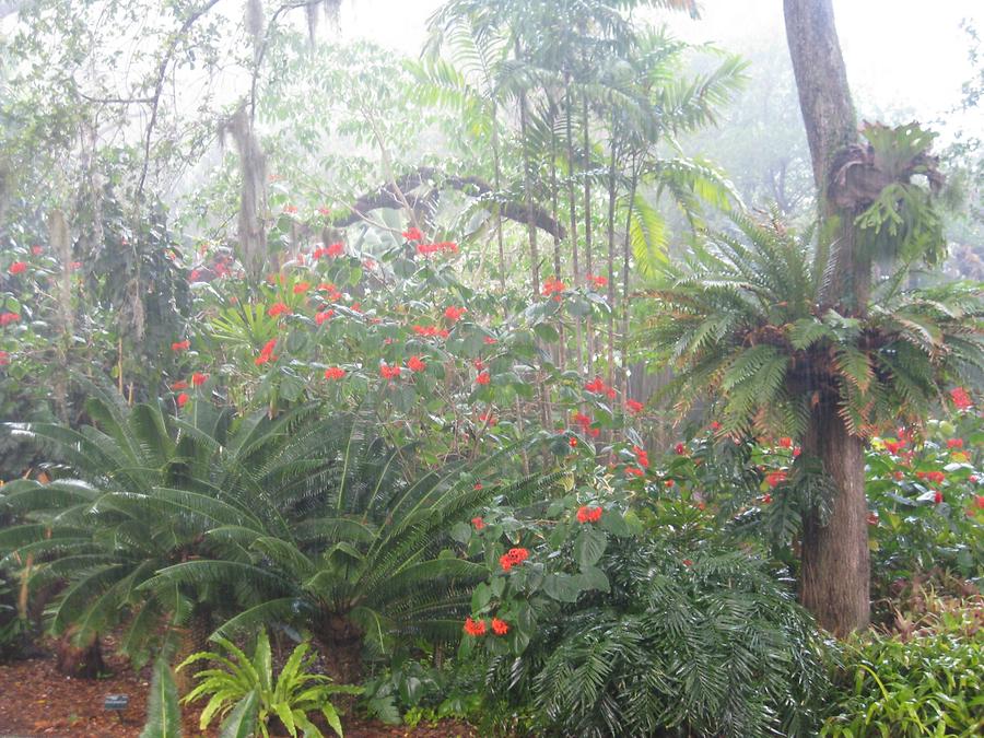 Sarasota Marie Selby Botanical Gardens