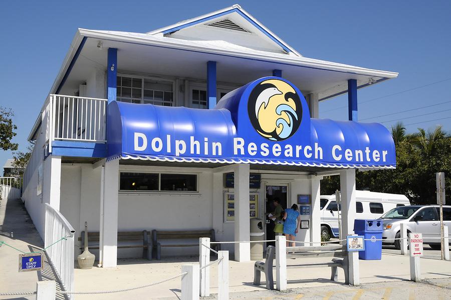 Grassy Key - Dolphin Research Center