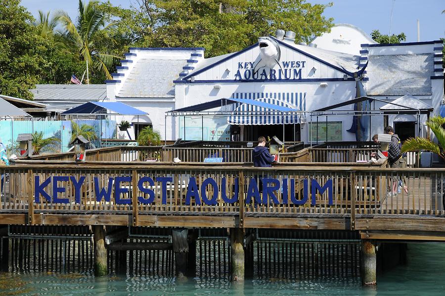 Key West - Aquarium