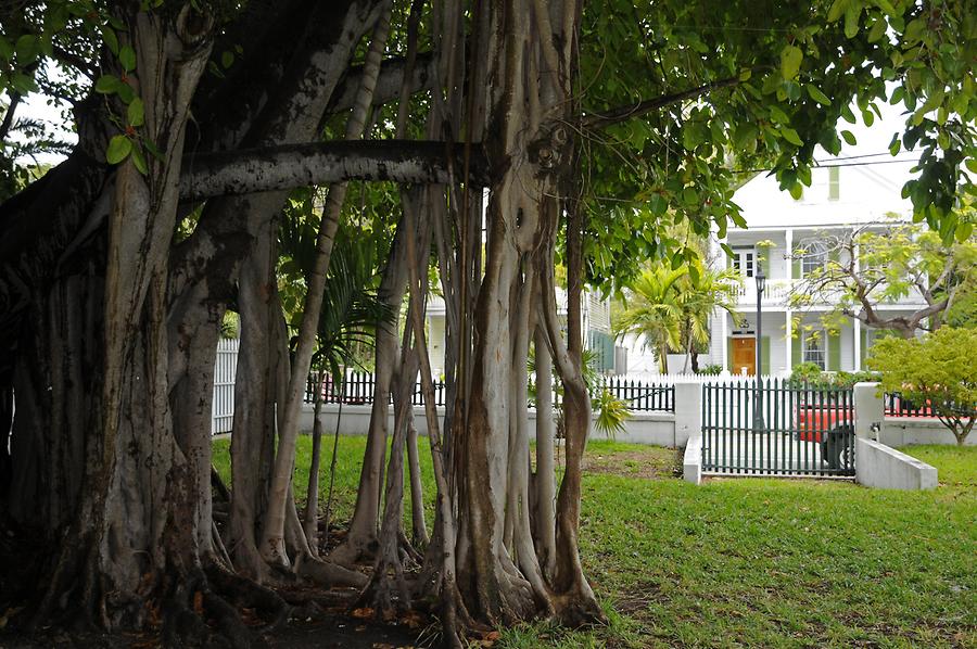 Key West - Ernest Hemingway House; Garden