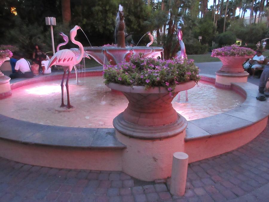 Las Vegas - Flamingo - Garden