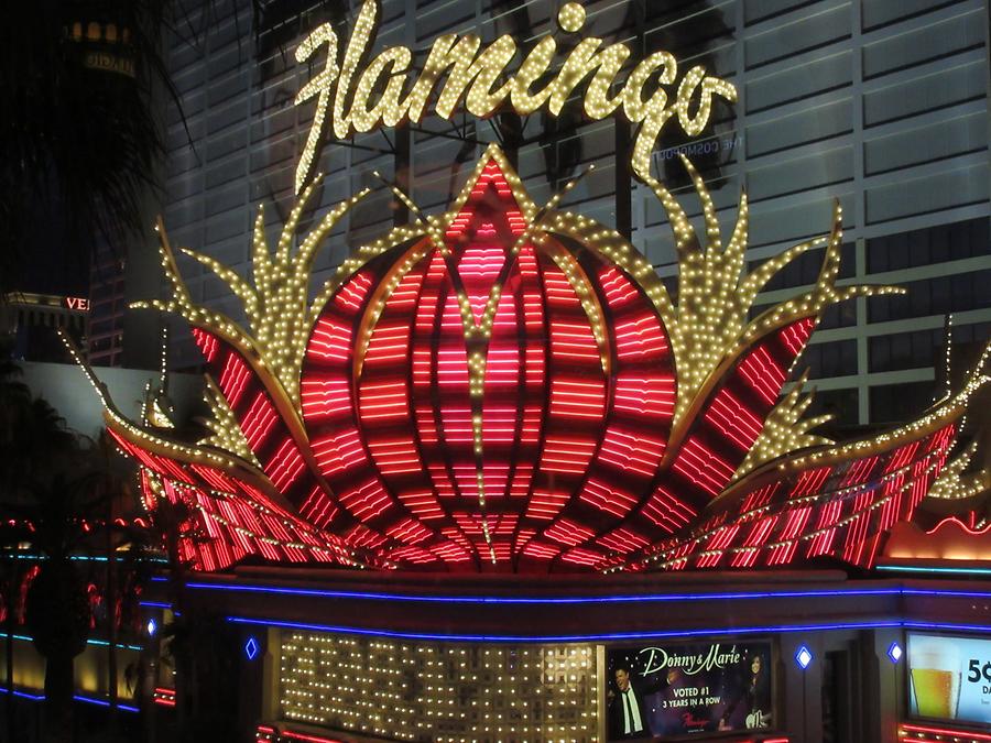 Las Vegas - Flamingo