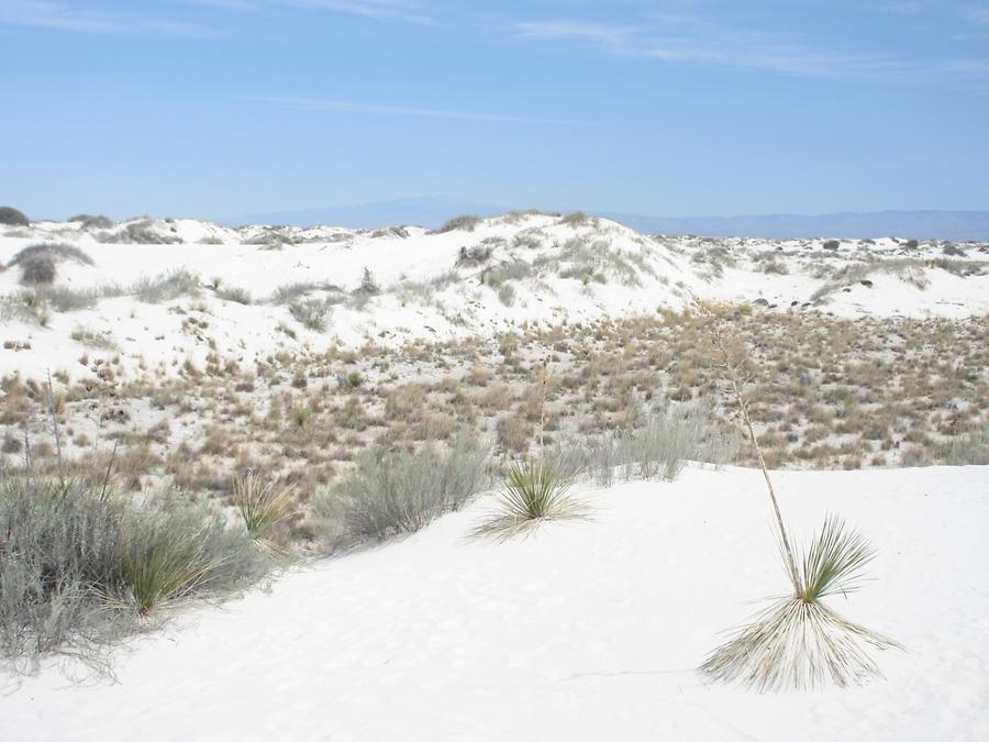 White Sands National Monumnet