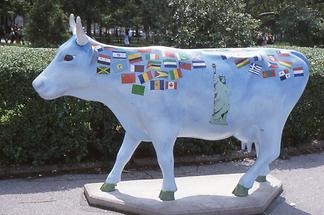 Cow (4)