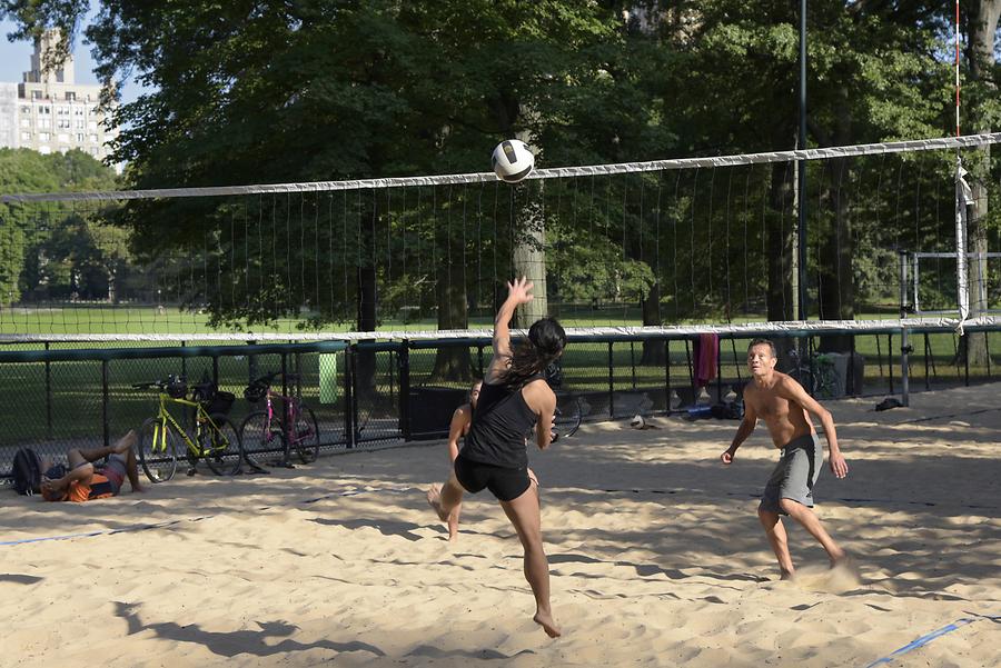 Central Park - Volleyball Player