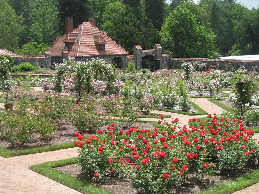 Asheville Biltmore Estate Garden