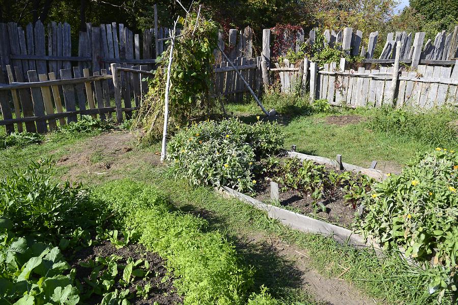 Plymouth - Plimoth Plantation; Kitchen Garden