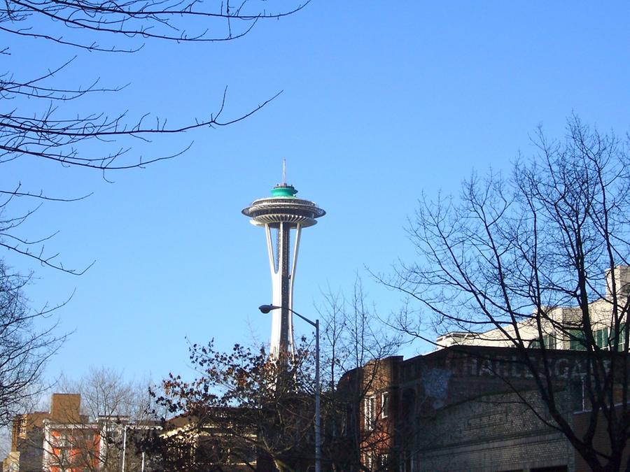 space needle seen from park