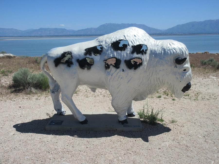 Antelope Island - 'Sacred Dreams Bison' by Patch & Jean Peterson