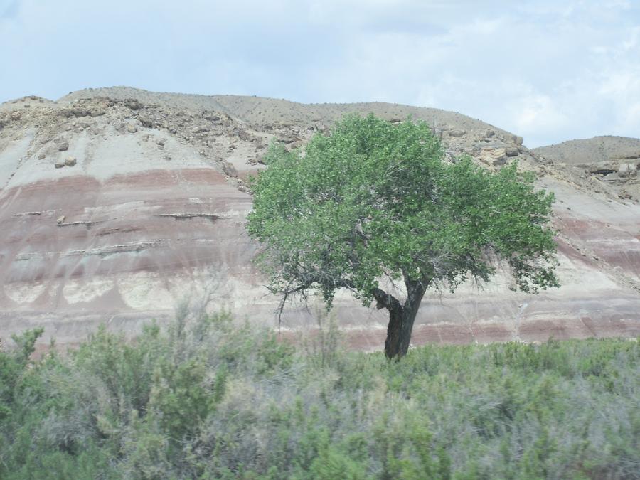 UT24 Capitol Reef Scenic Byway