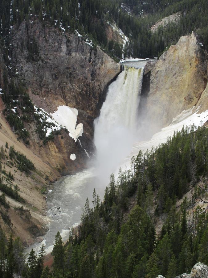 Yellowstone National Park - Lower Falls
