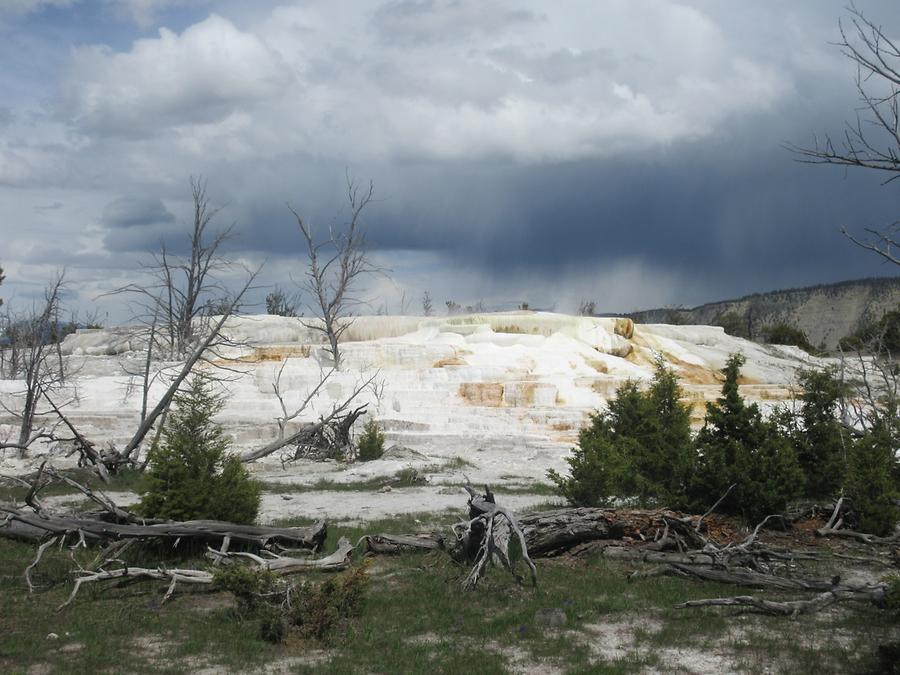 Yellowstone National Park - Mammoth Hot Springs Terraces
