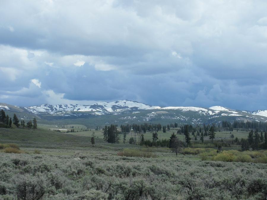 Yellowstone National Park - Northern Range