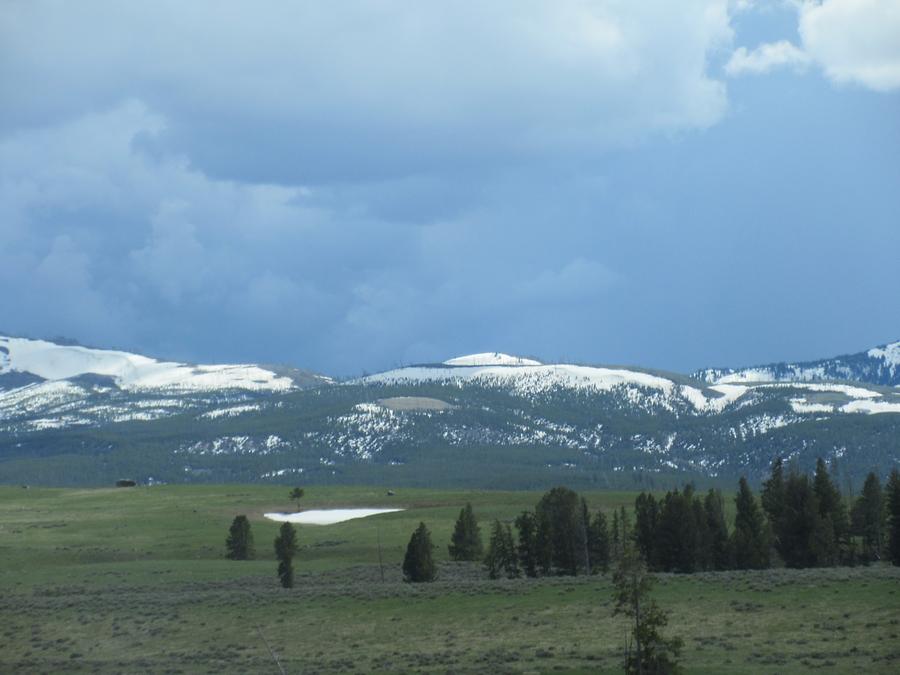 Yellowstone National Park - Northern Range
