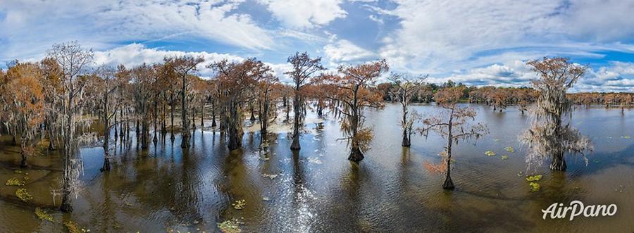 Bald cypress swamps, Louisiana-Texas, USA, © AirPano 