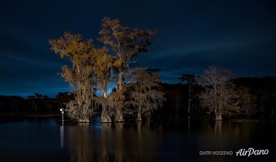 Bald cypress swamps, Louisiana-Texas, USA, © AirPano 