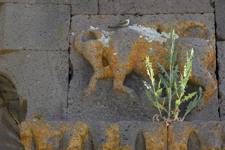 Selim Mountain Pass - Orbelian's Caravanserai Detail