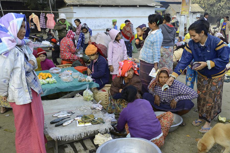 Fish Weekly Market Sagaing