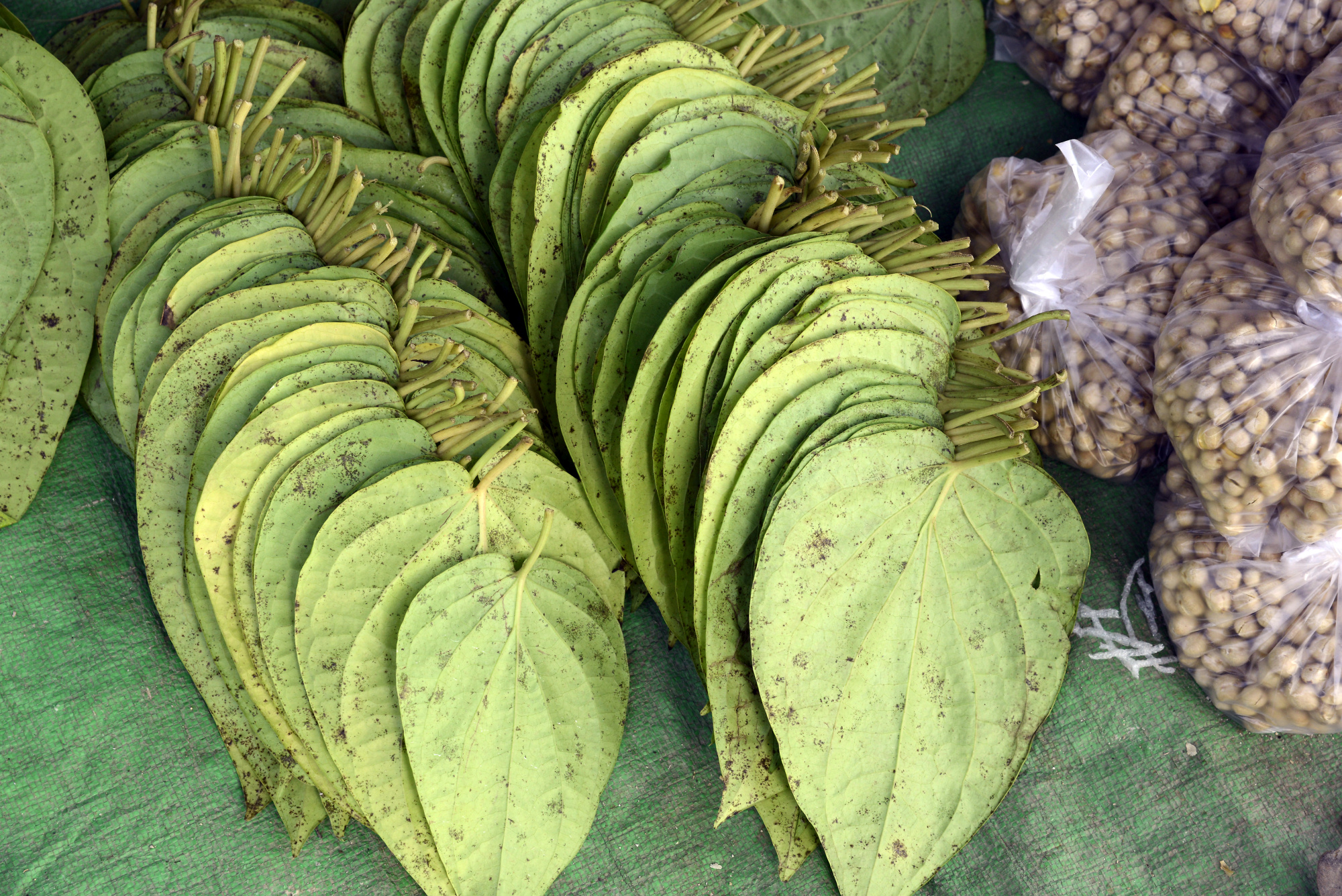 Betel Nut Leaves Yangon Pictures Burma In Global Geography