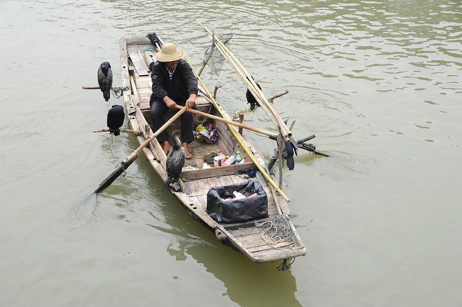 Wuzhen - Cormorant Fishing