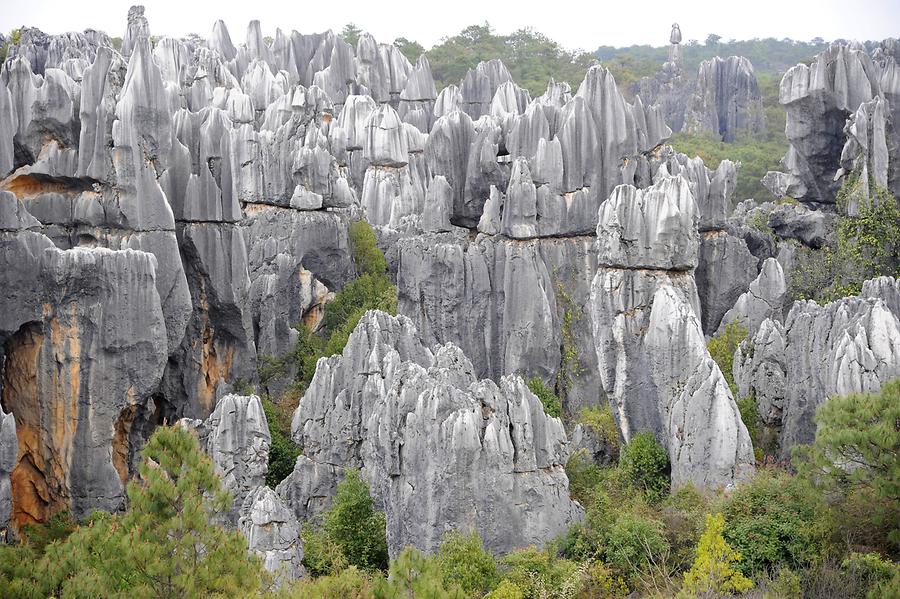 Shilin - Stone Forest