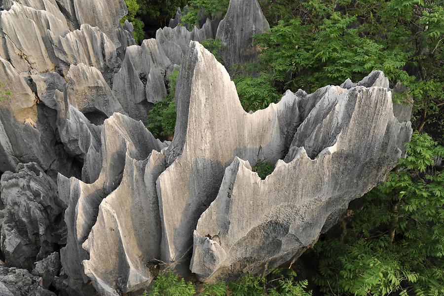 Shilin - Stone Forest