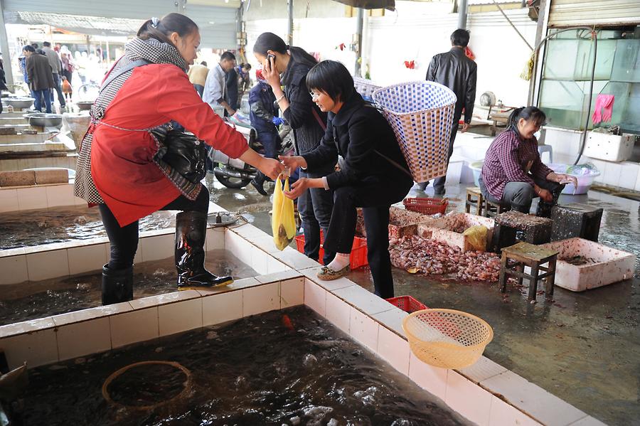 Lijiang - Fish Market