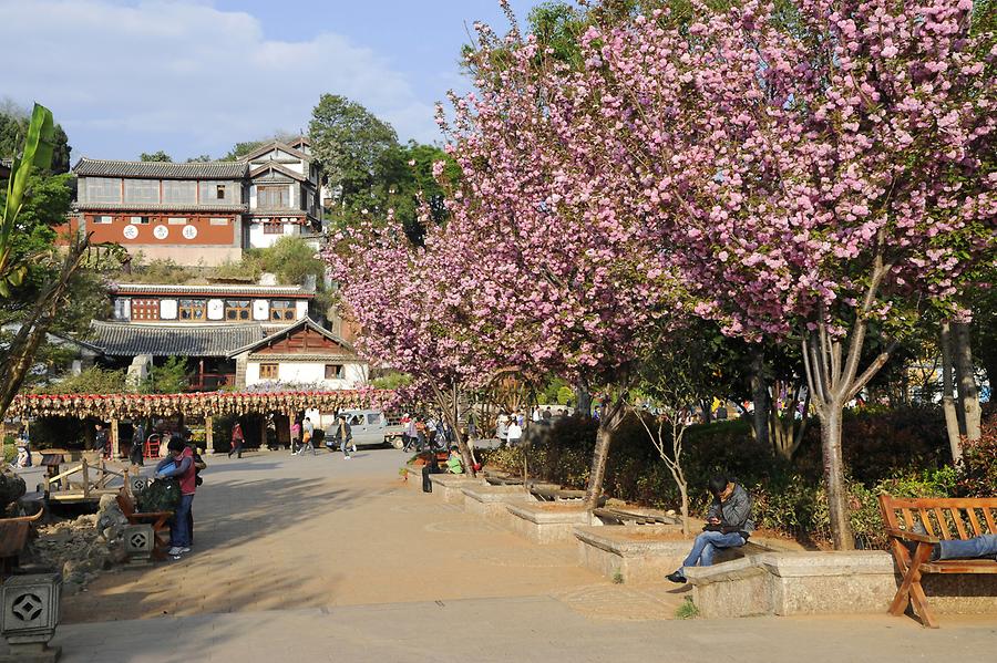 Lijiang - Historic City Centre