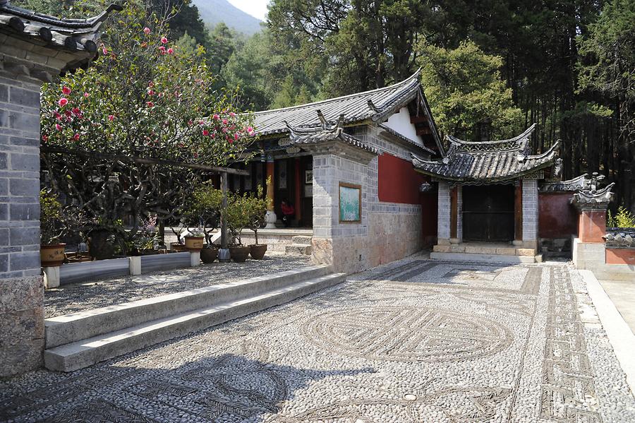 Yufeng Si Temple - Camellia