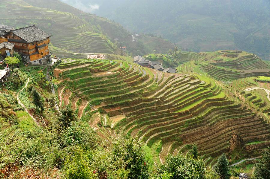 Ping'an - Rice Terraces