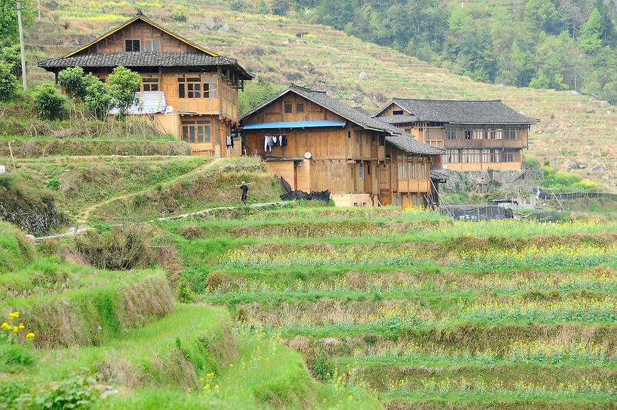 Rice Terraces near Tiantou