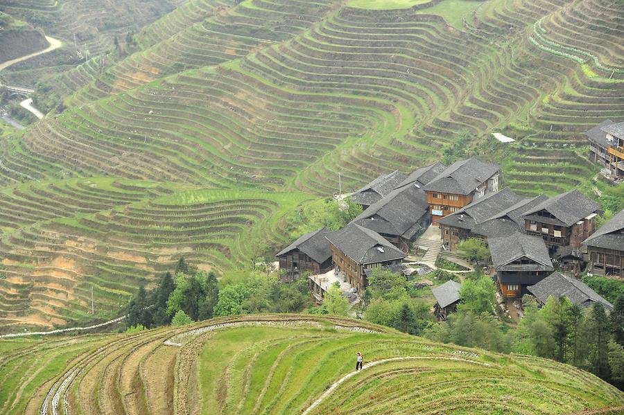 Rice Terraces near Tiantou