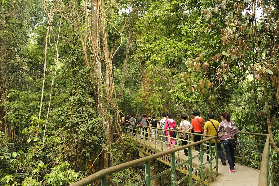 Elephant Valley - Tourists