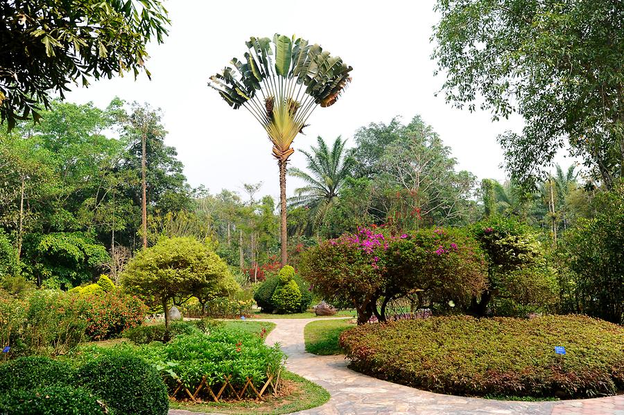 Menglun - Botanical Garden