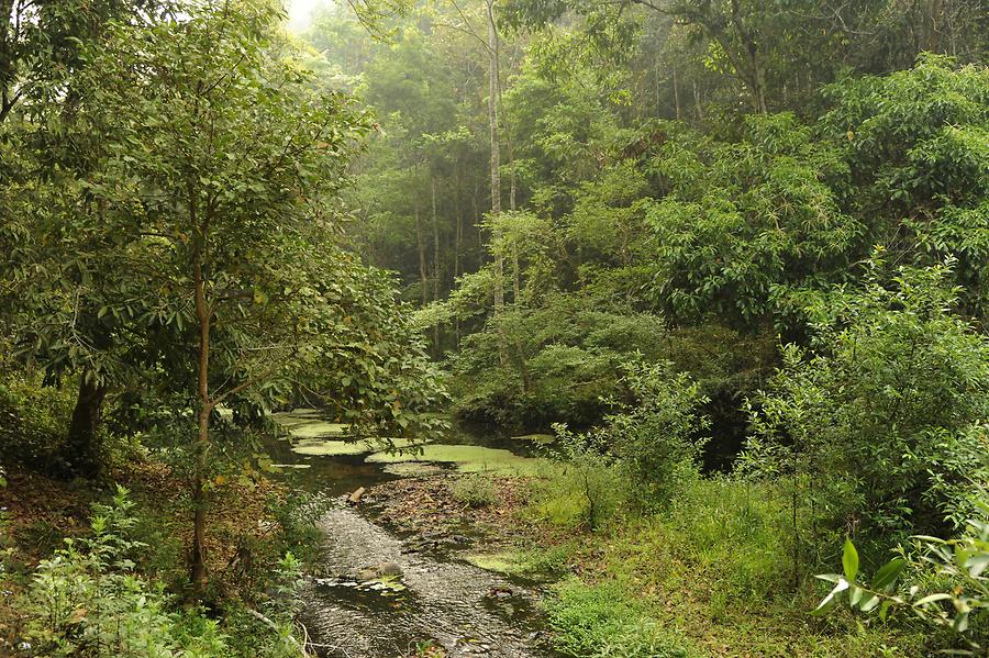 Sanchahe Nature Reserve