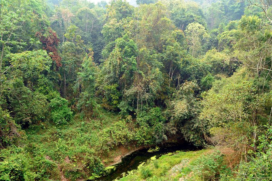 Sanchahe Nature Reserve