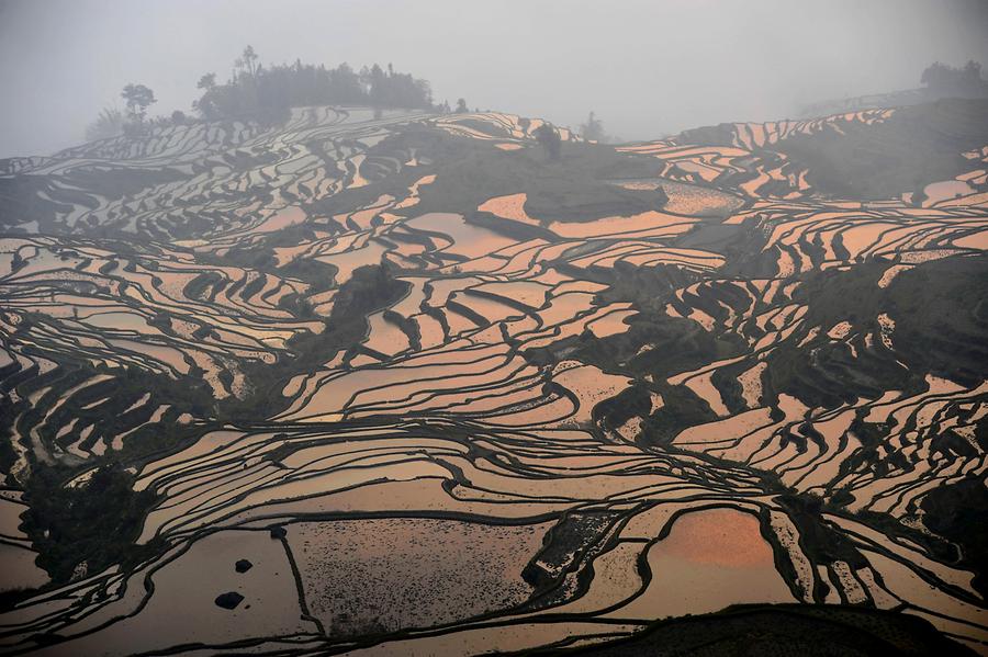 The Rice Terraces of Duoyishu