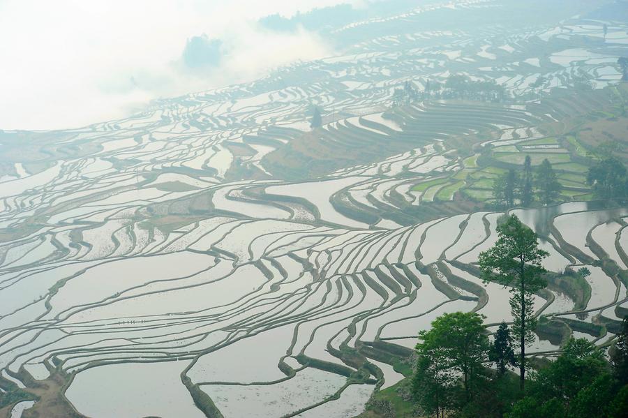 The Rice Terraces of Duoyishu