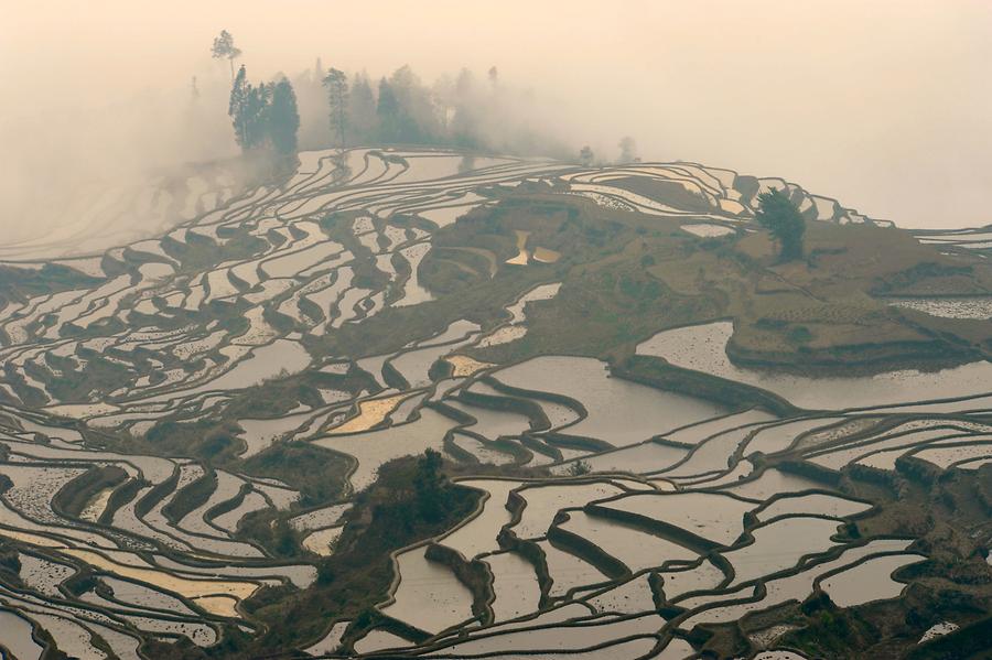 The Rice Terraces of Duoyishu