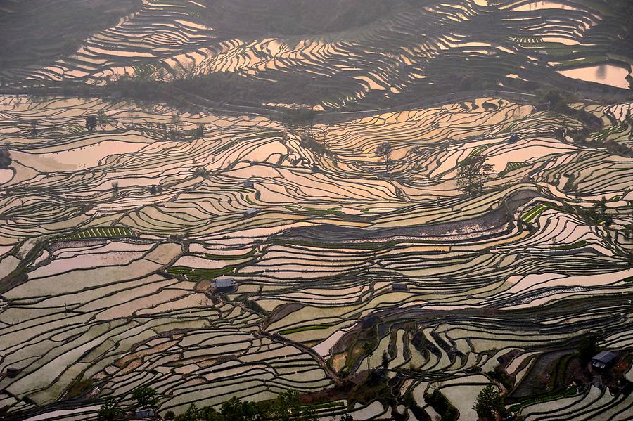 The Rice Terraces of Laohuzui