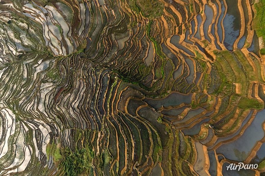 Rice Terraces, Yunnan province, China, © AirPano 