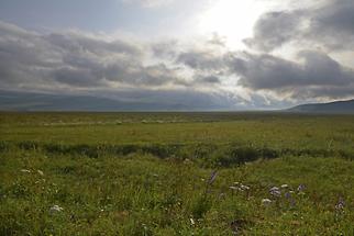 Landscape North of Gyumri (1)