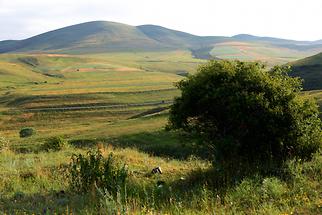 Landscape North of Gyumri (5)