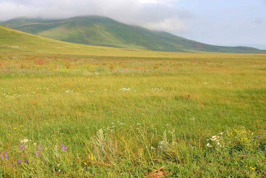 Landscape North of Gyumri
