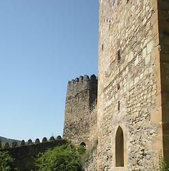 Fortress Ananuri