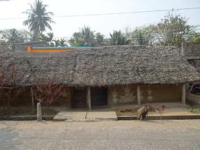 South of Bhubaneswar - Mud-Walled Houses (1)